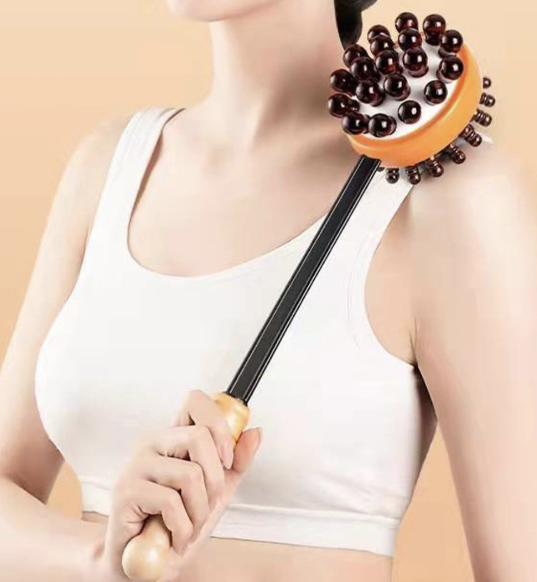 �� ���� �ȸ� ���к� ������ ��Ʈ��Ī �ȸ��� ��������