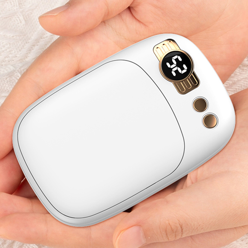 �Ҵϵ��� �߿� �������͸� �ճ��� 10000mAh K2557