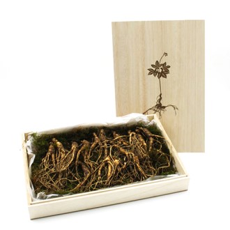 ���� ����� 20��� �����̾� ������Ʈ