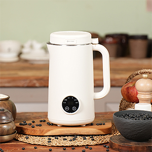 �ν� ISB-900 ����������